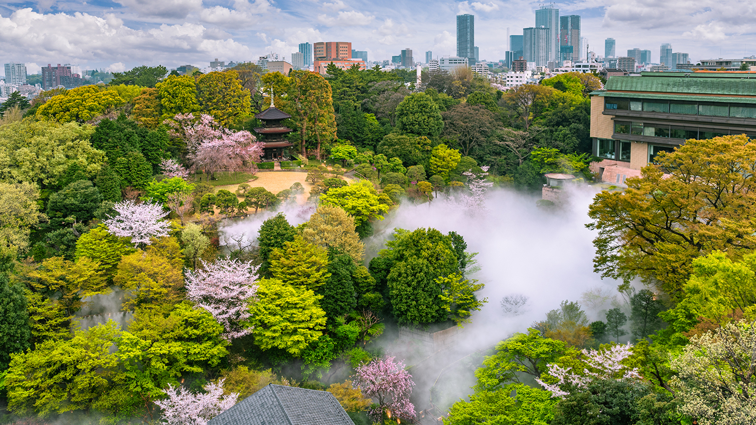 Experience Seven Seasons in Tokyo