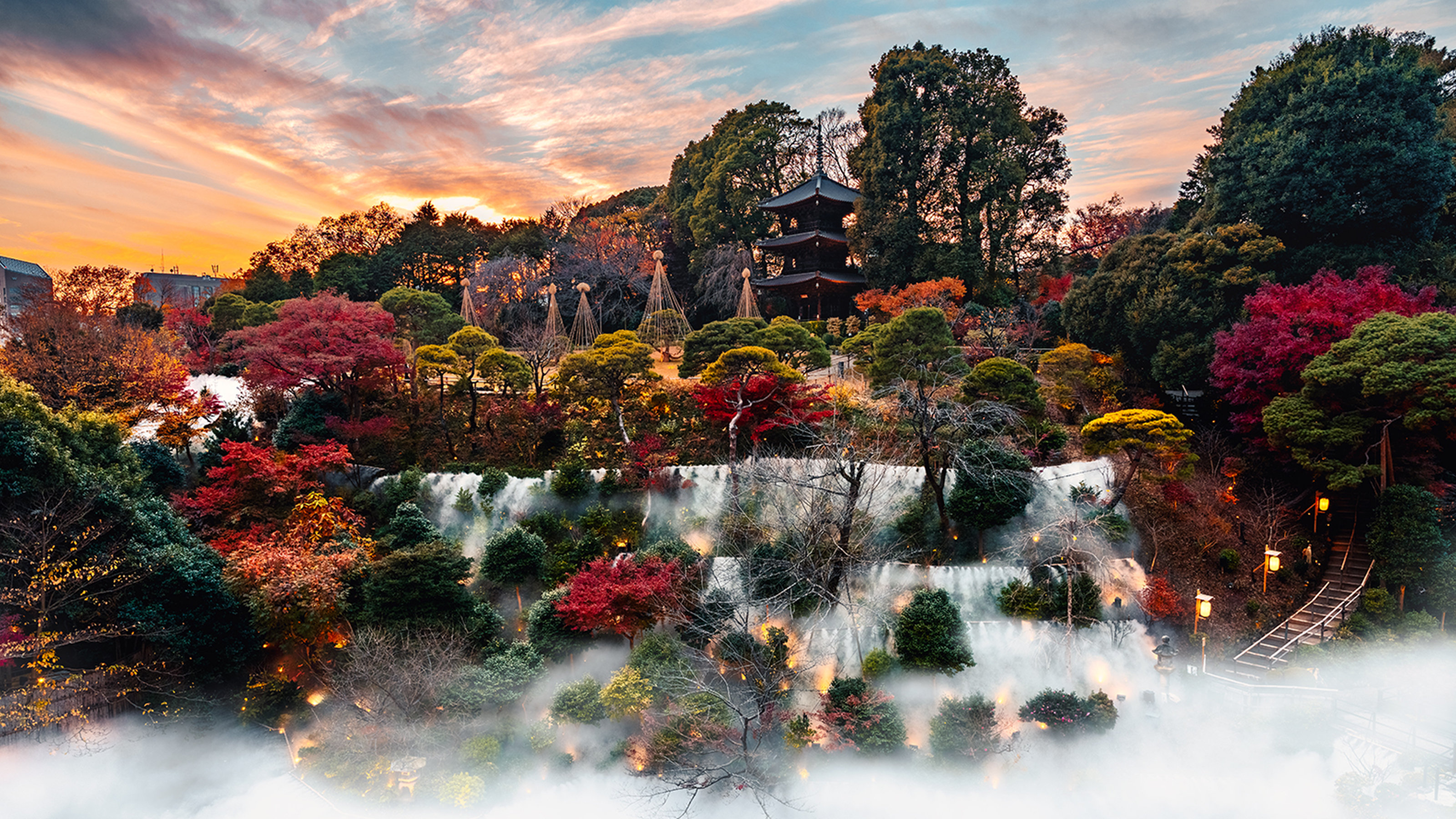 Experience Seven Seasons in Tokyo